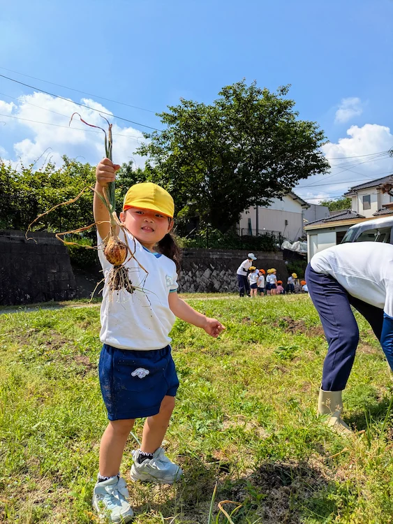 玉ねぎ堀りの写真(福岡県久留米市)